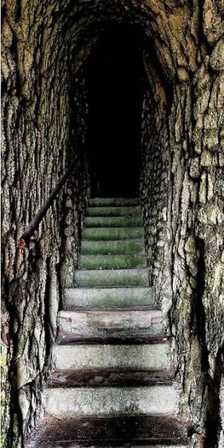 Worn stone steps leading up into a dark cave mouth walled with rough stone.