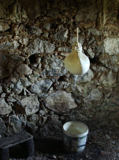 A cloth of fresh cheese hung to drain whey into a pail against a stone cave wall.